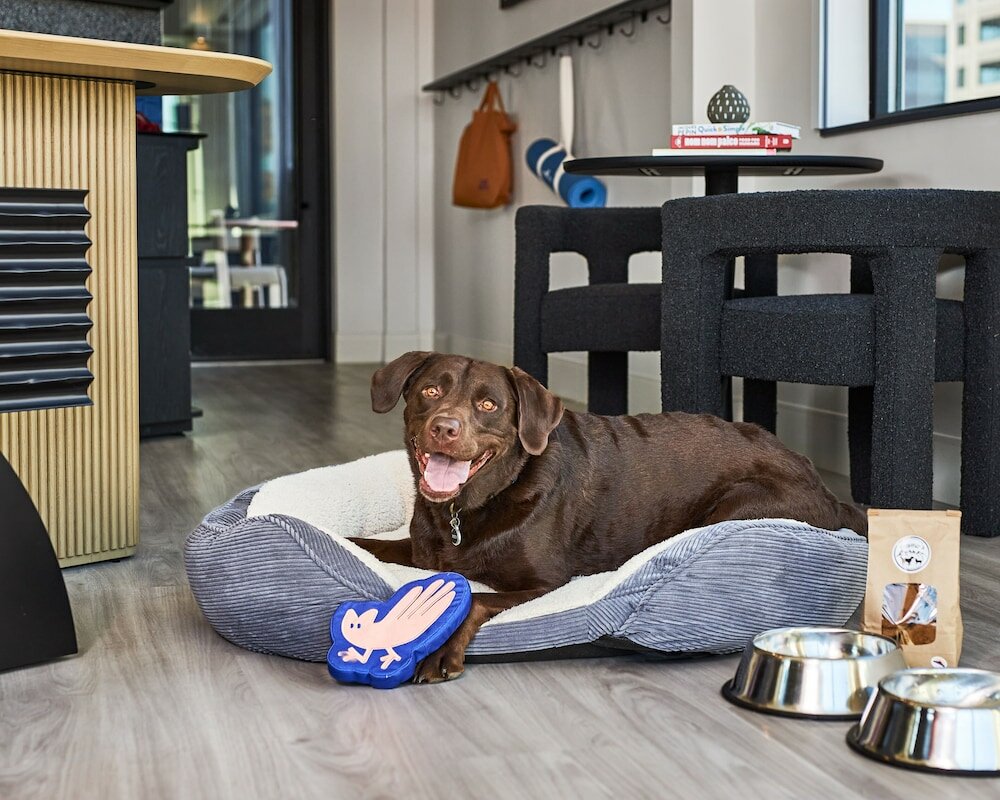 Фото Catbird Hotel