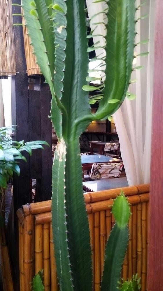 Фото Pousada Aquarela do Brasil