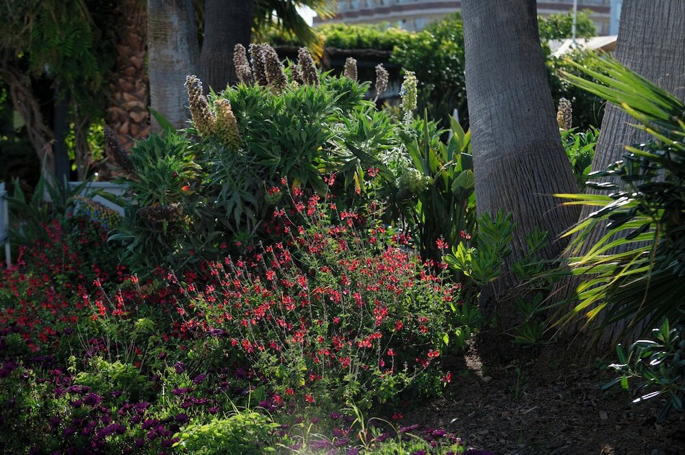 Фото Aqua Hotel Aquamarina & SPA