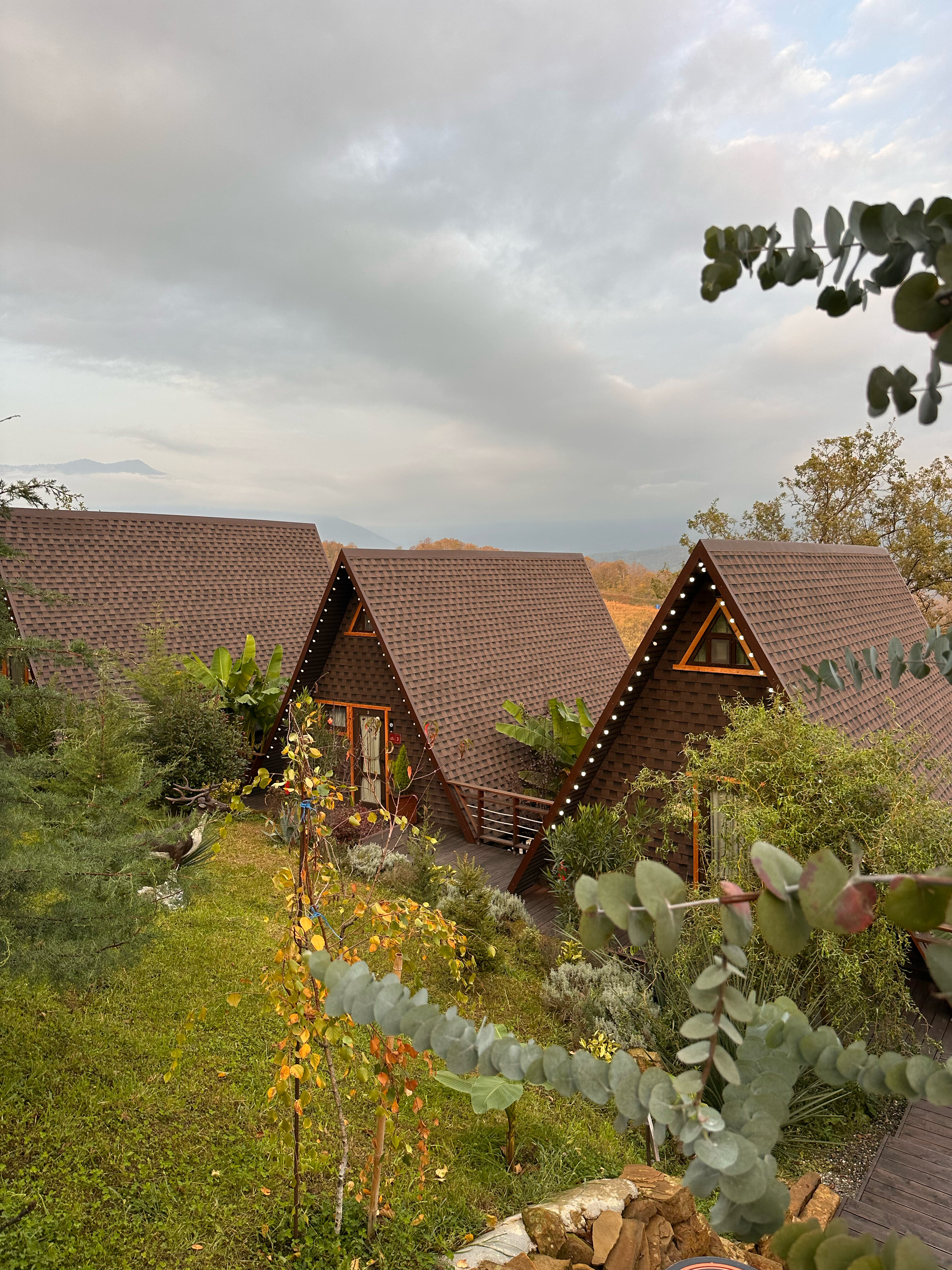 Фото Светогорье