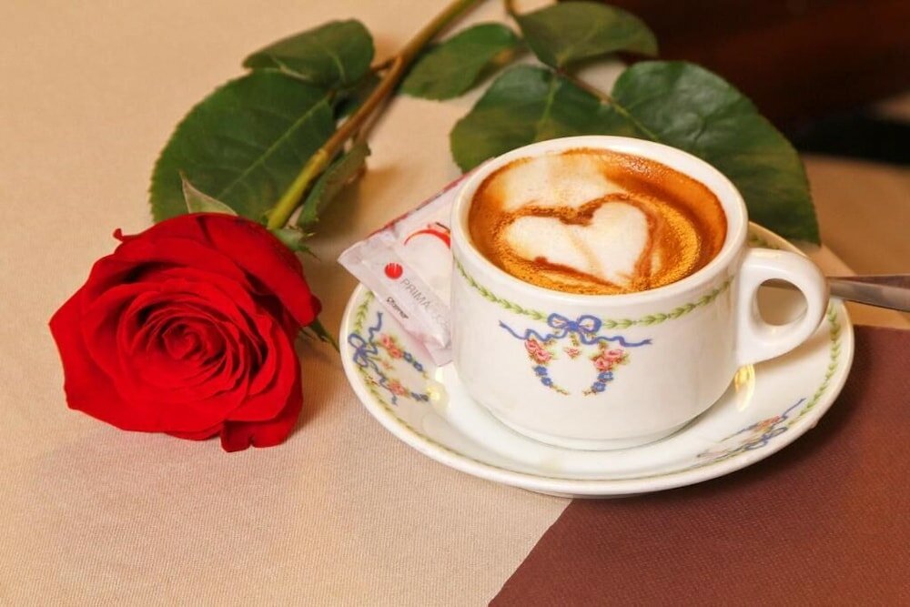 Фото Hotel Arcangelo