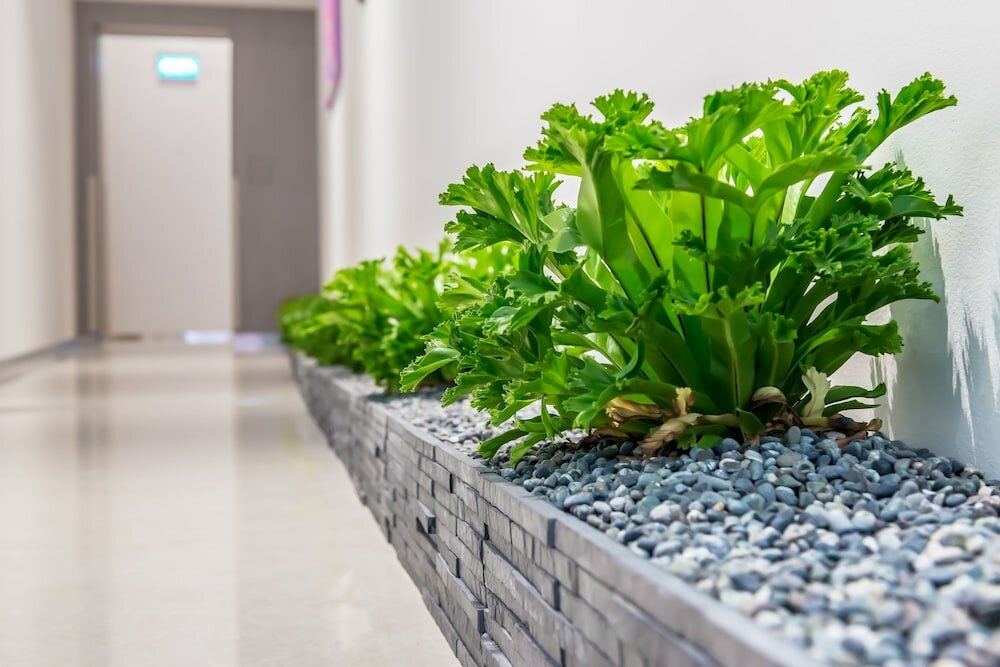 Фото Summer View Hotel