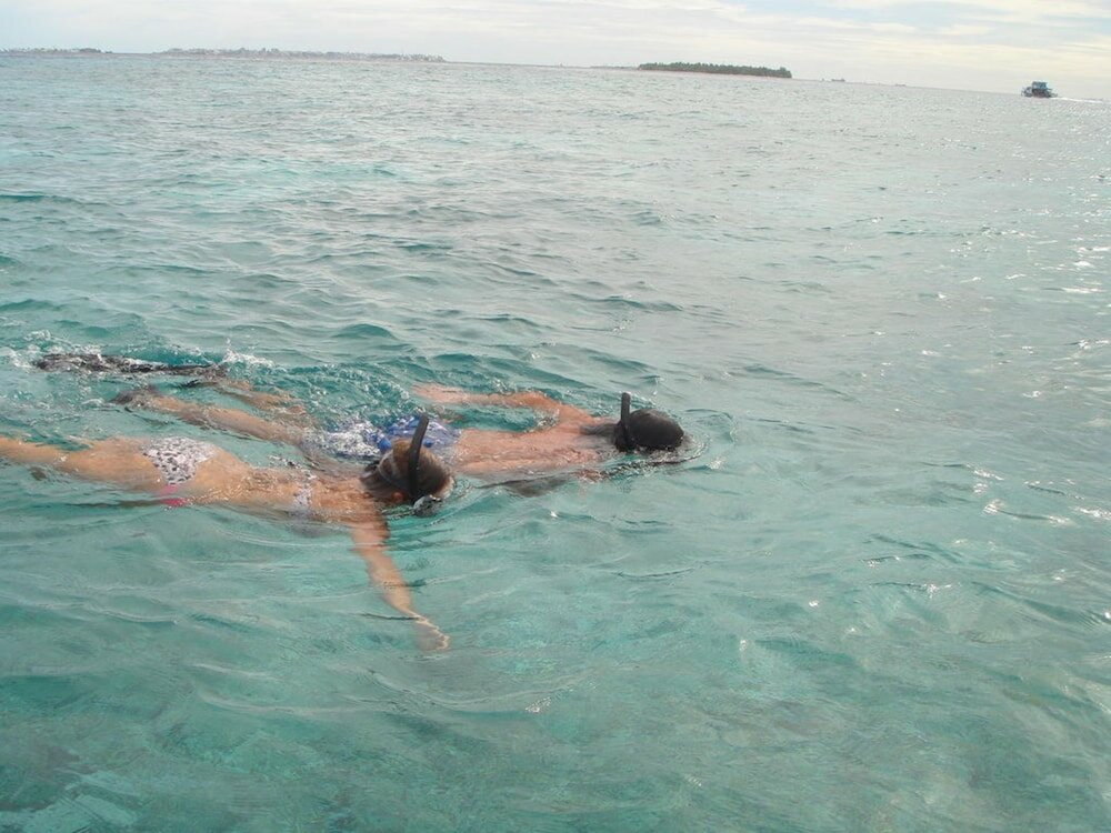 Фото Hotel Elite Inn