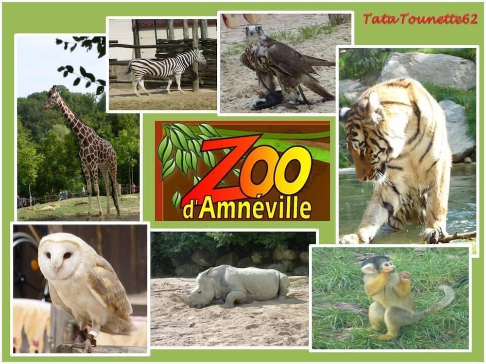 Фото Mercure Metz Centre