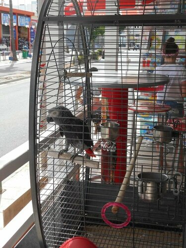 Гостиница Kkaras Hotel в Айя-Напе