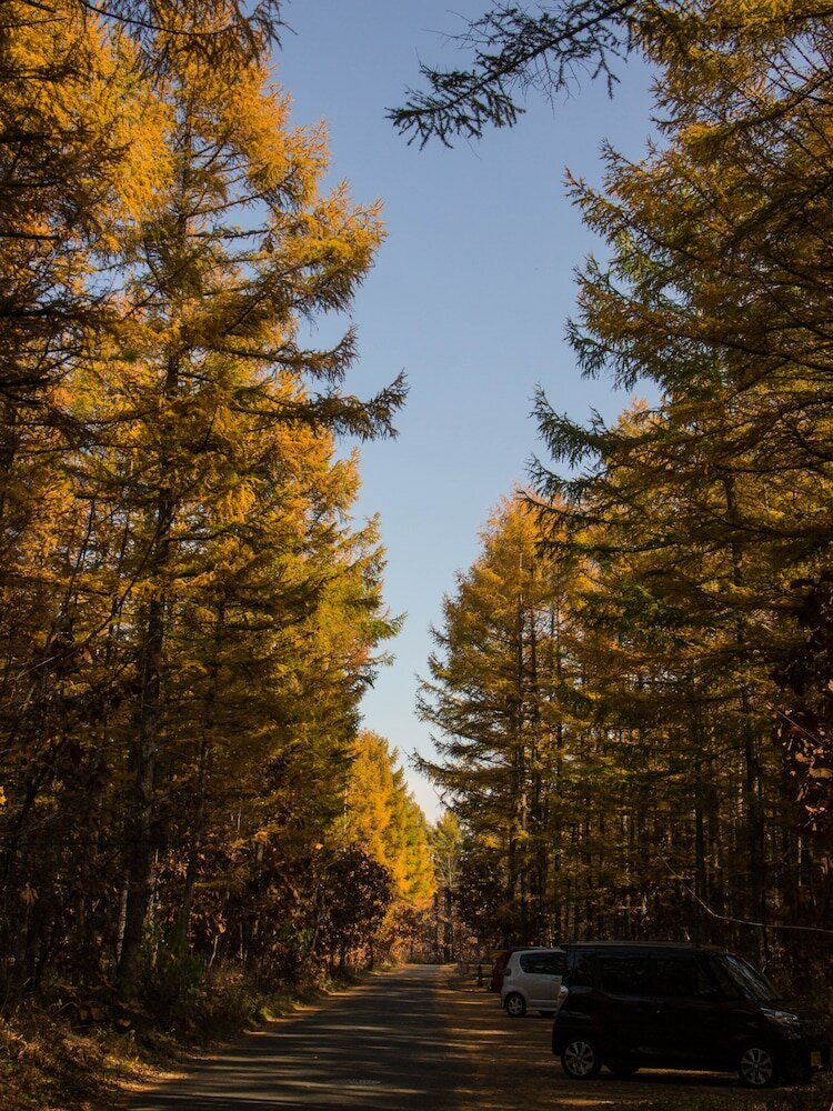 Фото The squirrel's guesthouse Canterbury