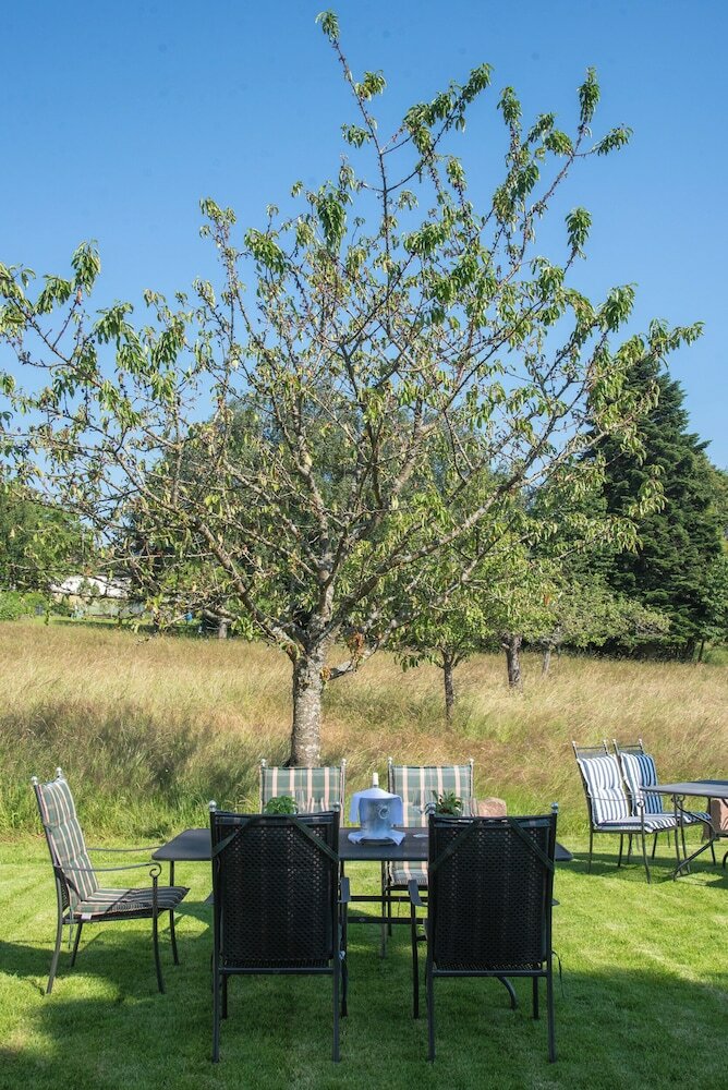 Фото Hotel Restaurant Vinothek Lamm