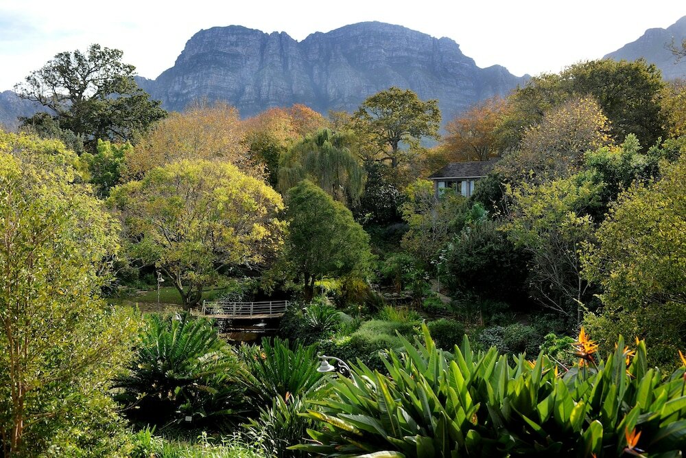 Фото Vineyard Hotel