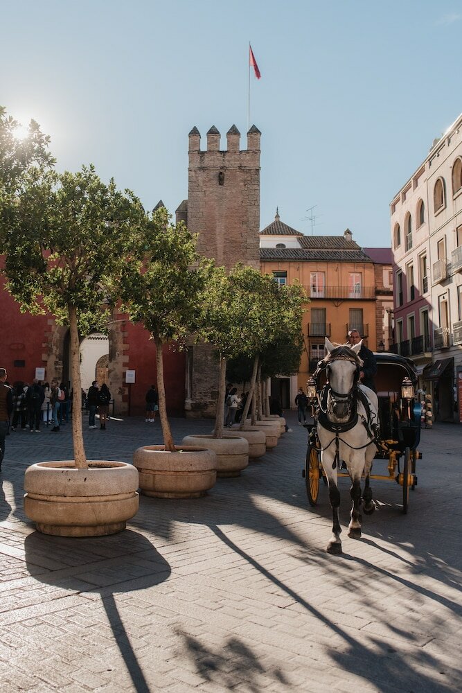 Фото Legado Alcázar Hotel