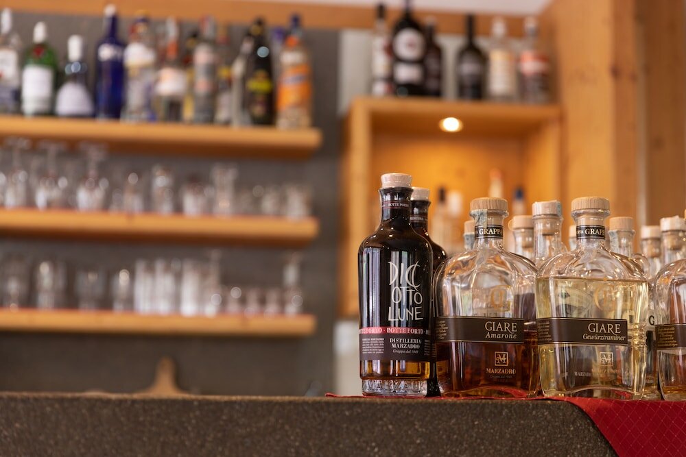 Фото Hotel Alpine Mugon