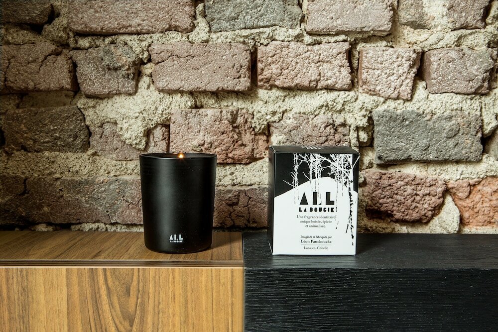 Фото Hotel Louvre Lens - Esprit de France