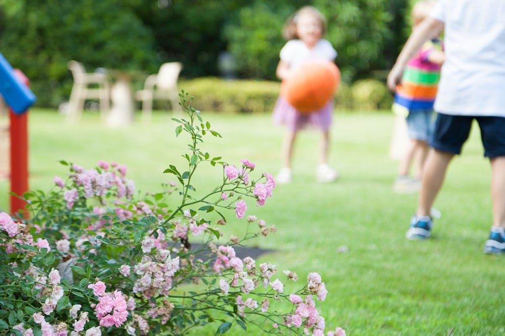 Фото Novotel Brescia 2