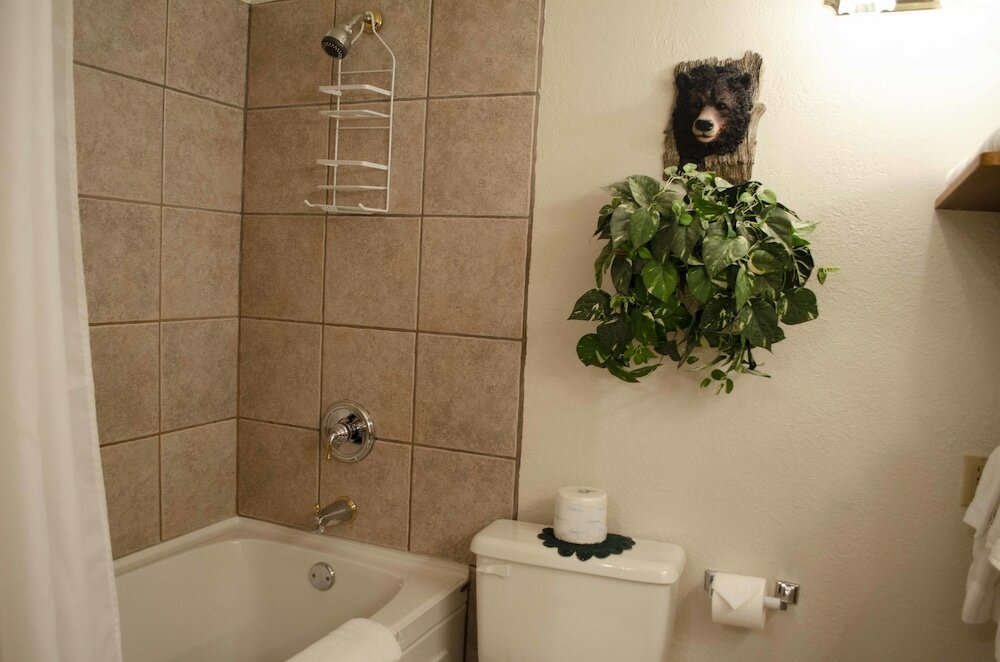 Фото Crandell Mountain Lodge