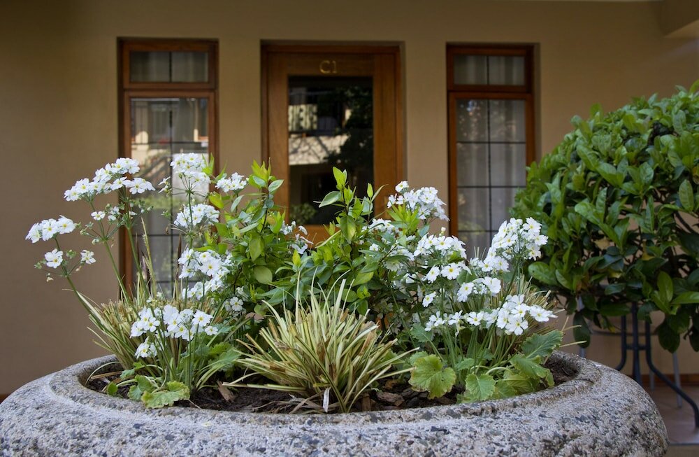 Фото Del Roza Guest House