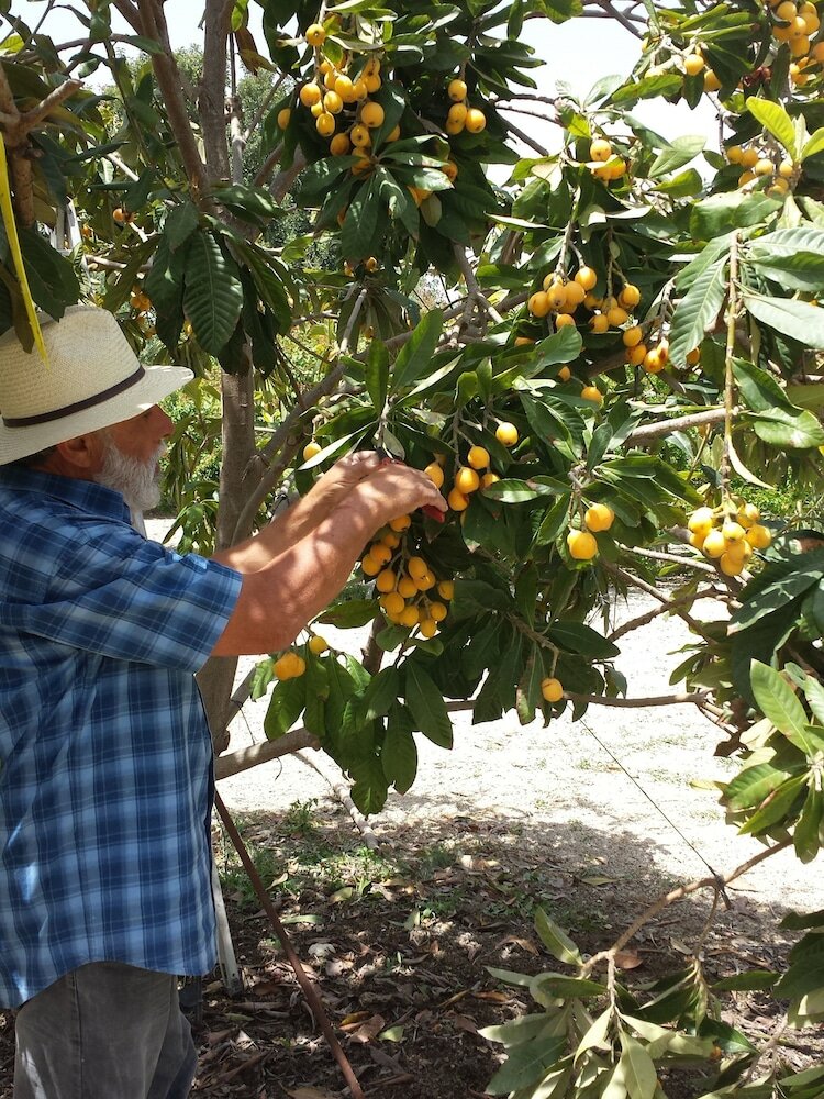 Фото Vasilopoulos House