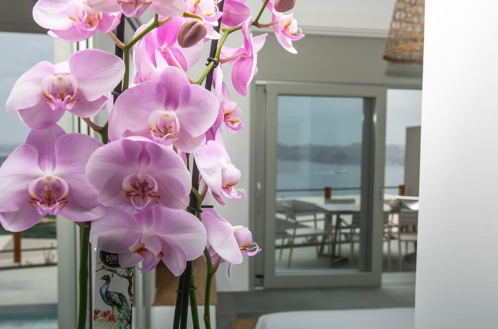 Фото Melidonia Suites