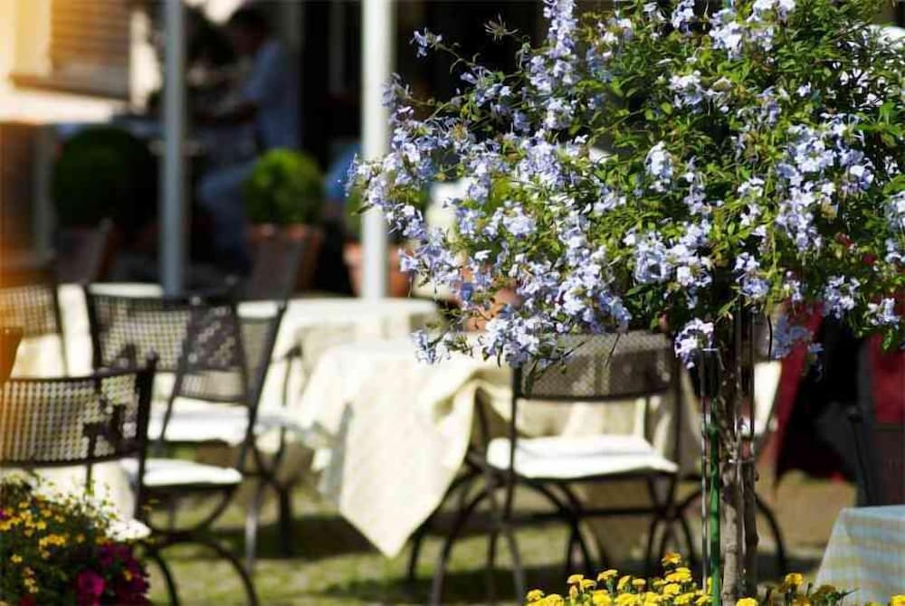 Фото Hotel Sonne