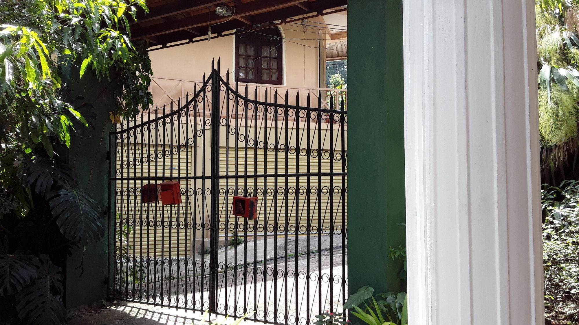 Фото Tree Breeze Inn