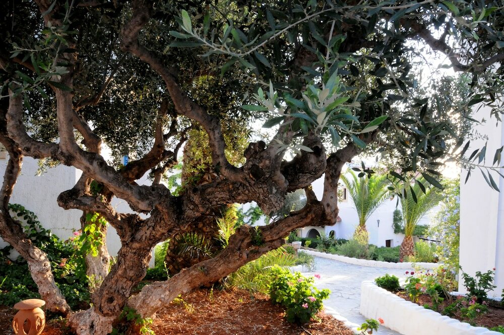 Фото Hersonissos Village