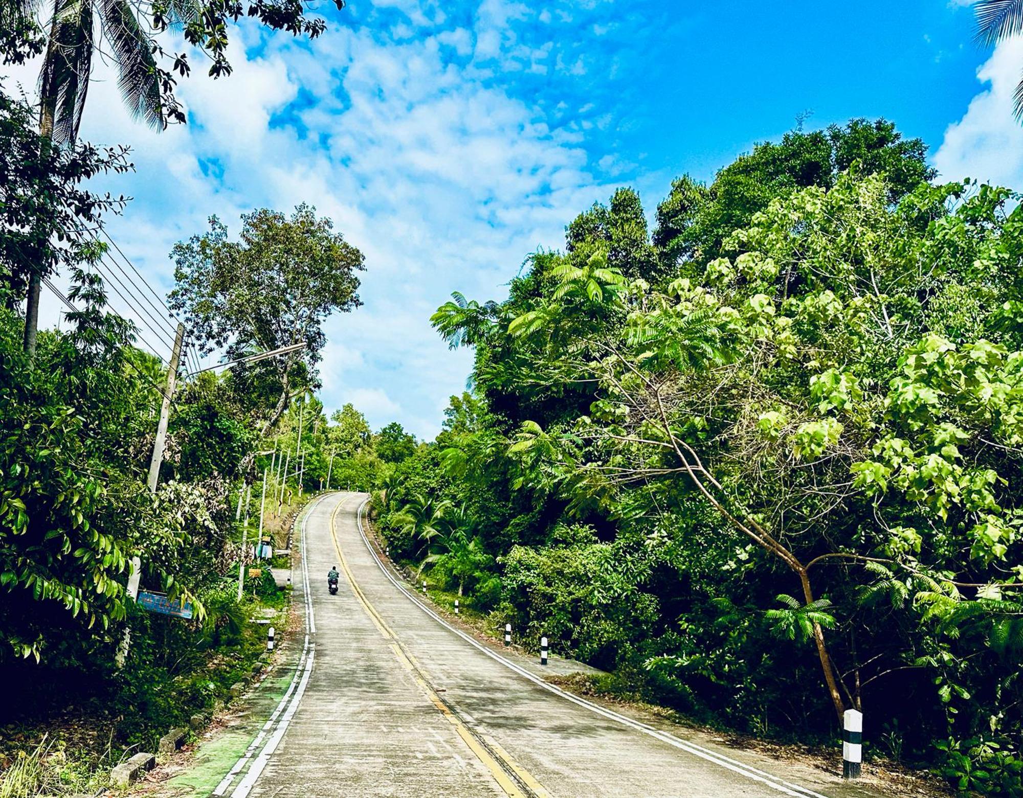 Фото Dreamville Koh Phangan
