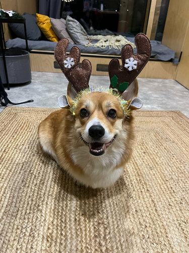 Глэмпинг Ягодка Малинка в Городском округе Лосино-Петровском