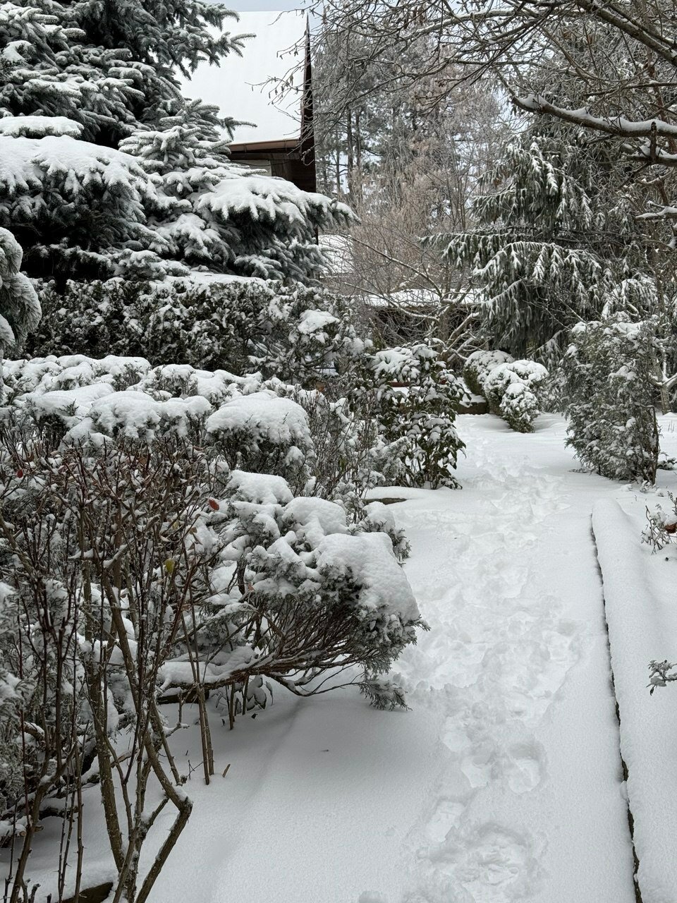 Фото Райский уголок