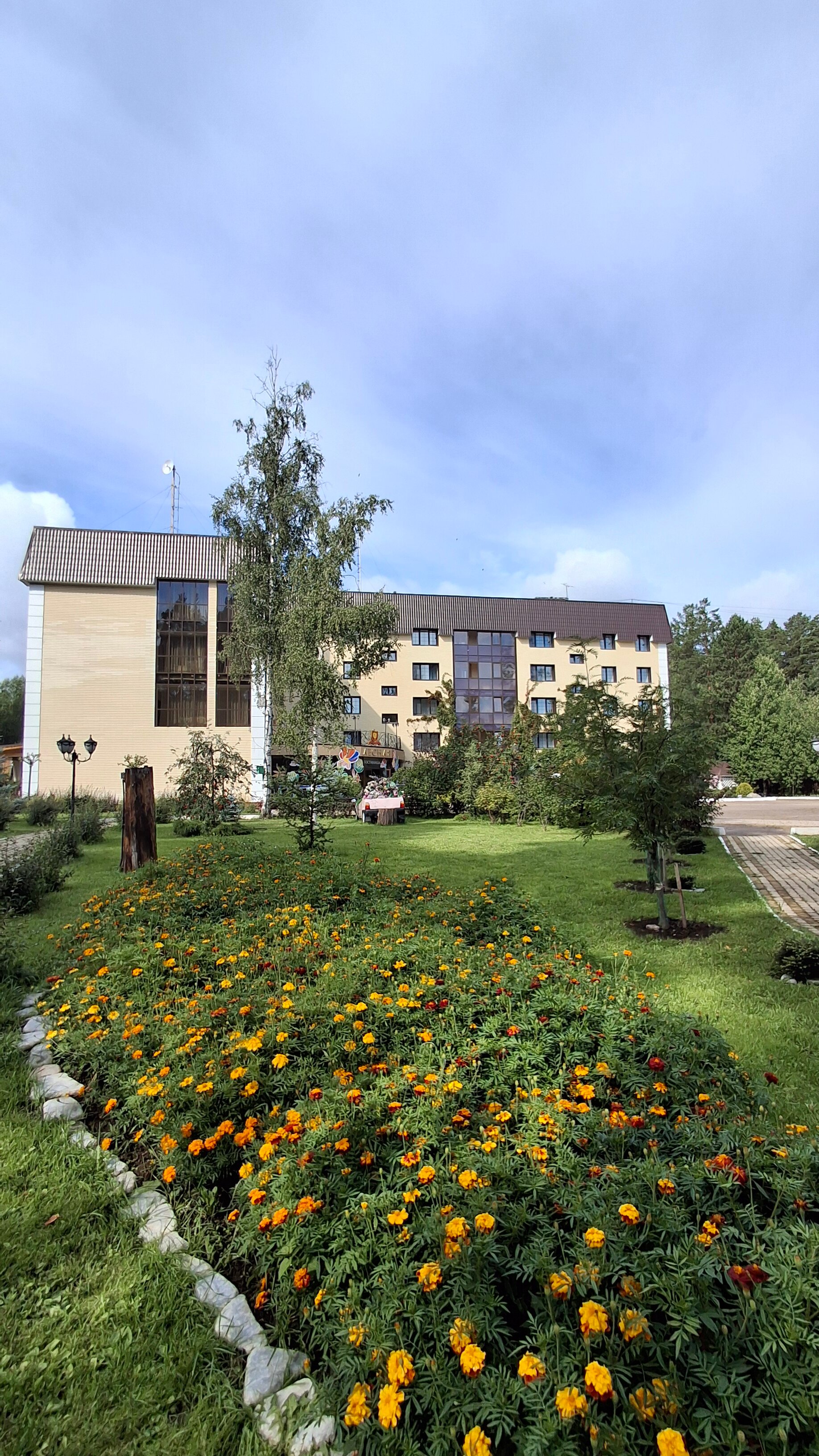 Фото Лесная