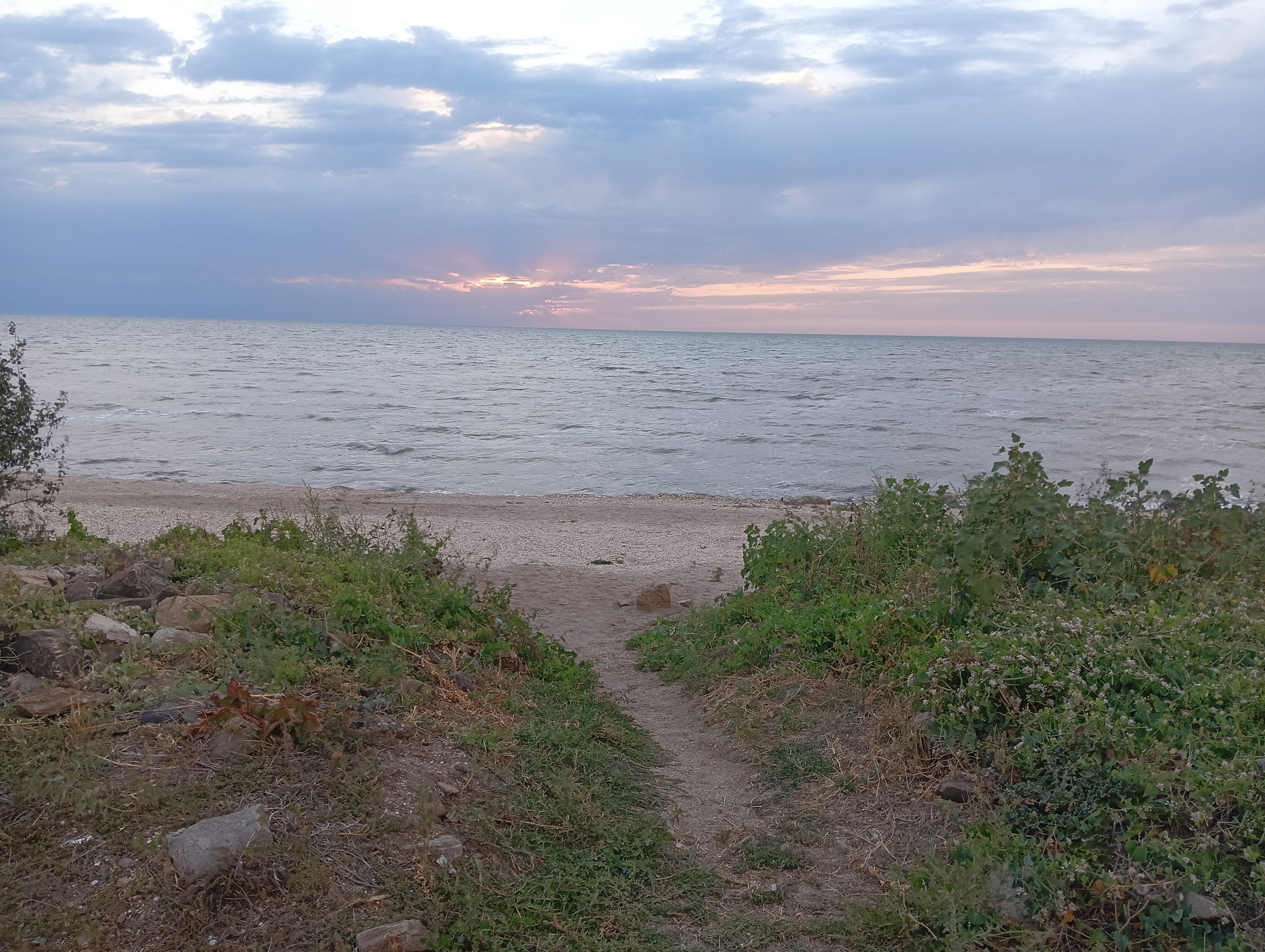 Фото Ясенская коса