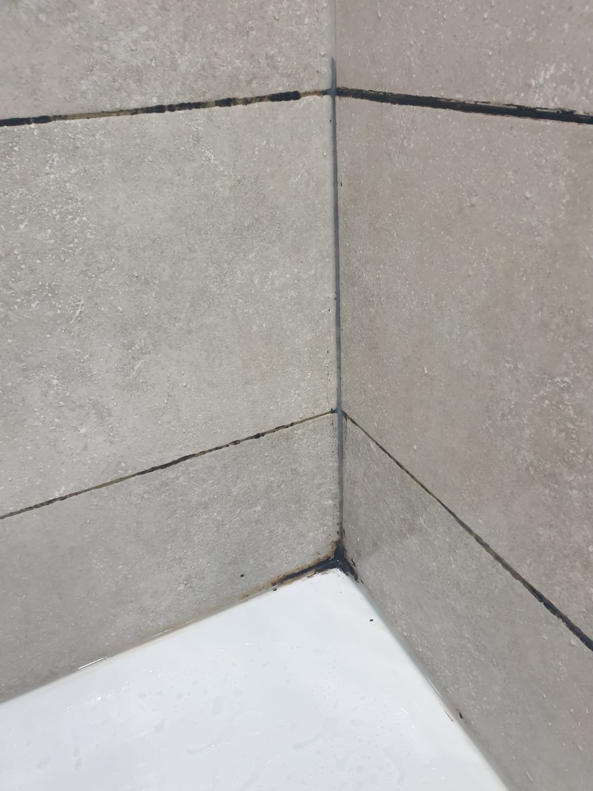 Фото Gallery Palace