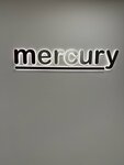 Mercury Insurance and Reinsurance Brokerage (Istanbul, Atasehir, Icerenkoy Neighborhood, Cayir Avenue, 7), business center
