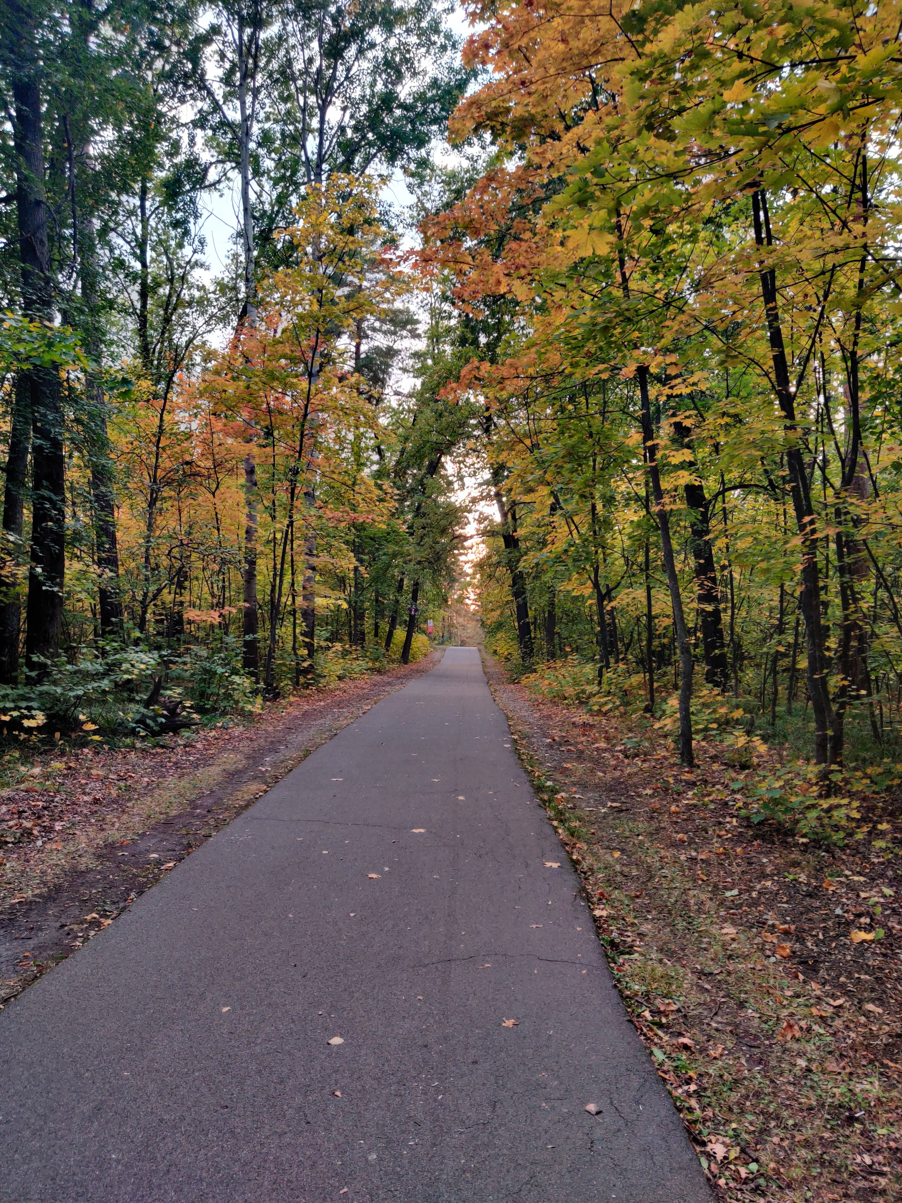 Фото Лесная жемчужина