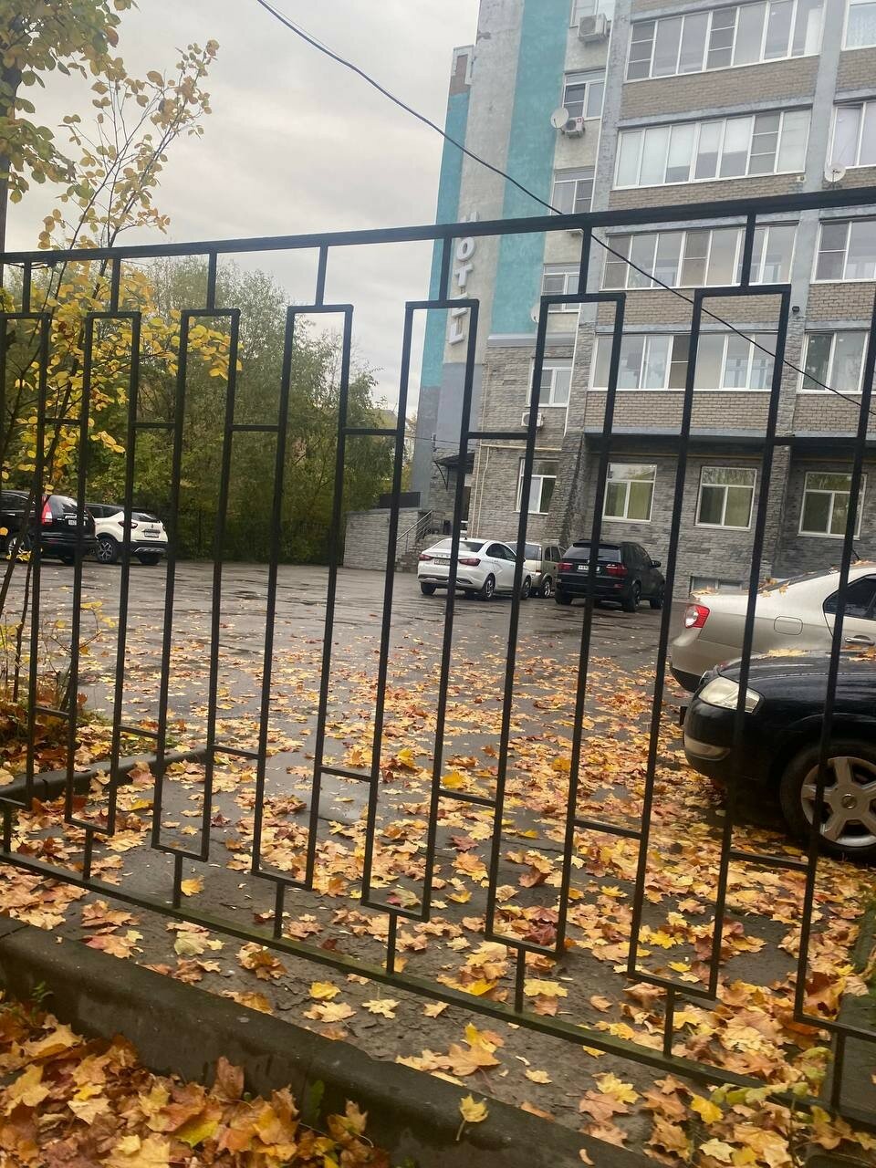 Фото Семейный