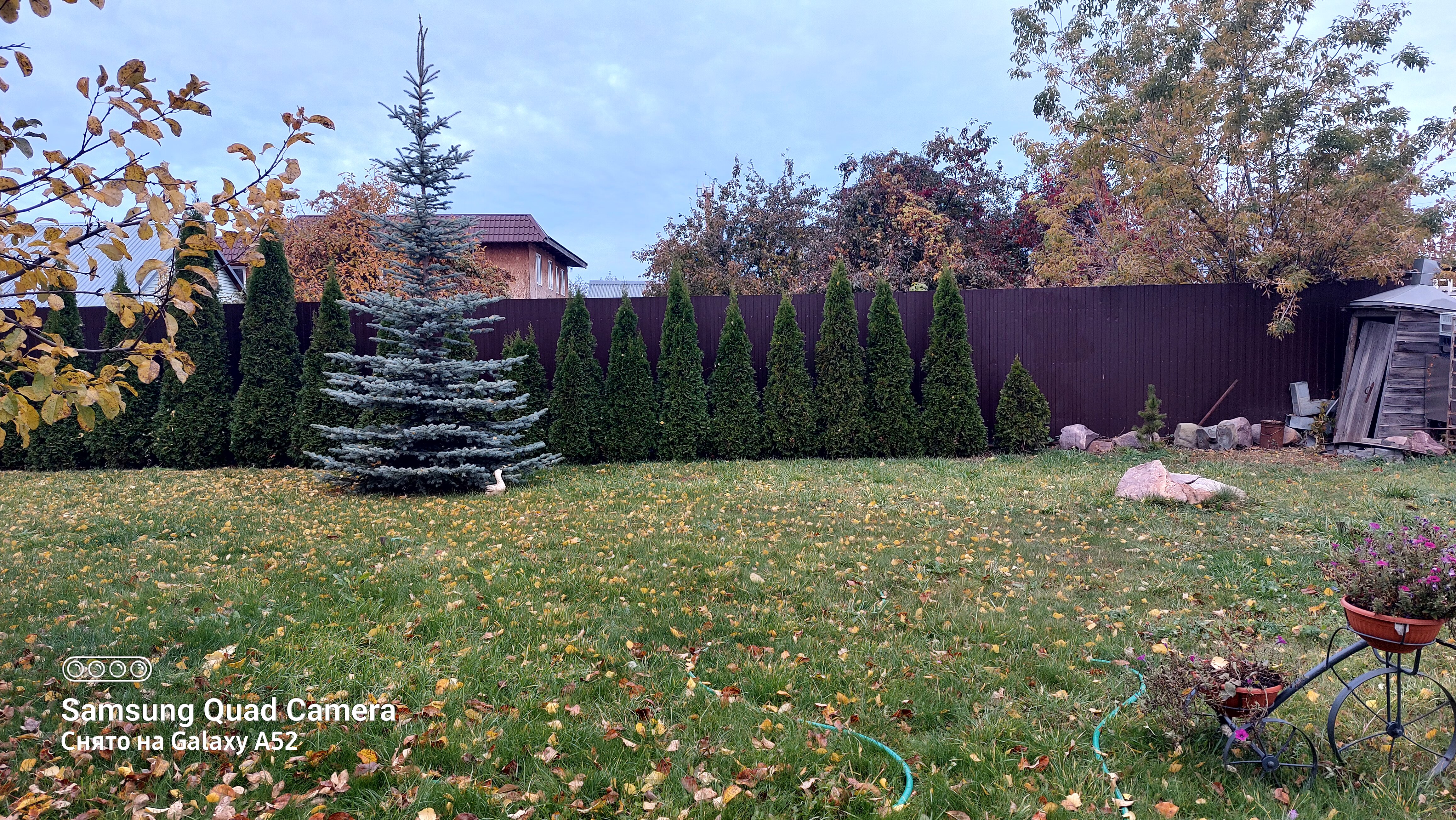 Фото Марьяна