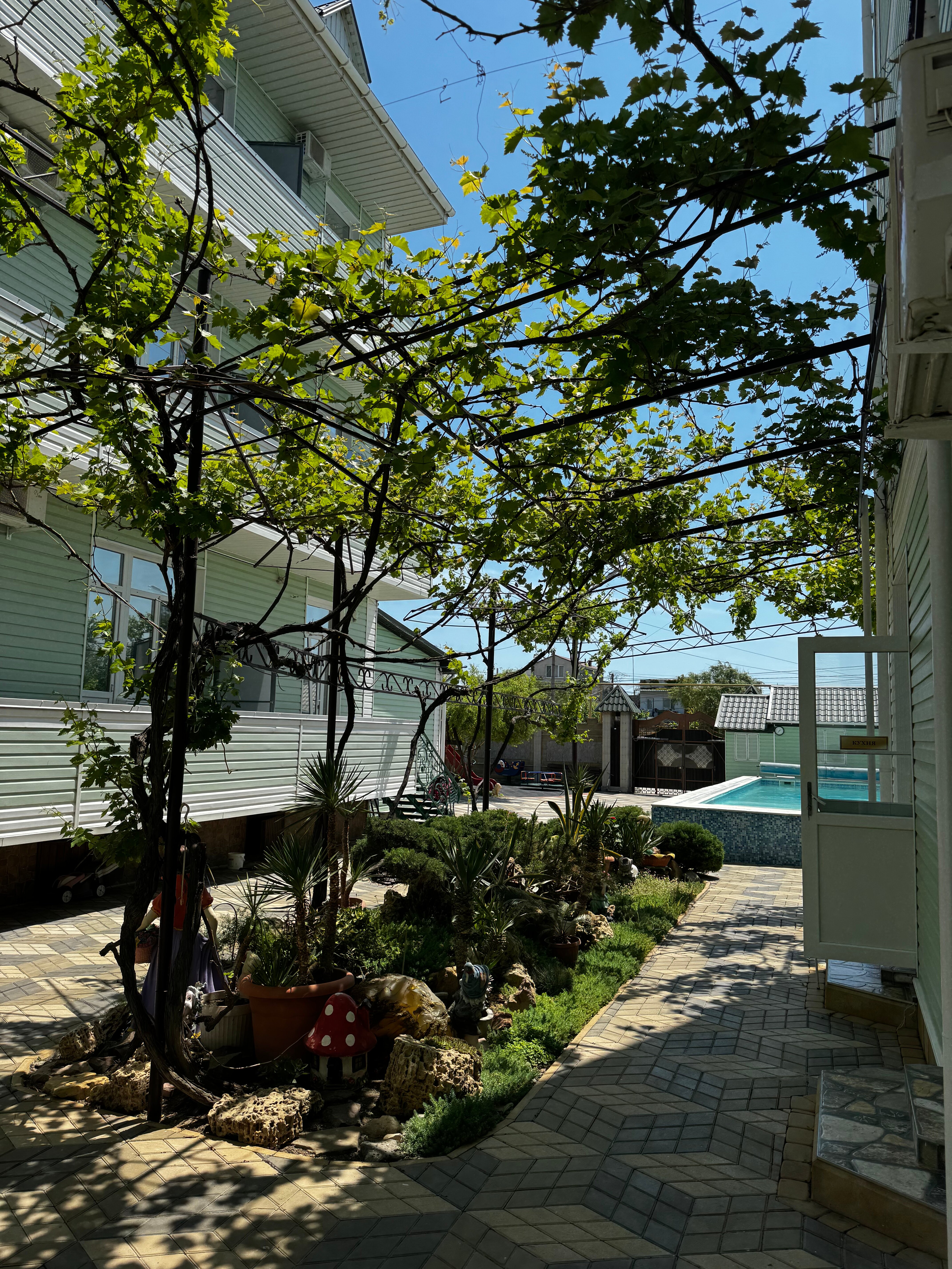 Фото Улыбка