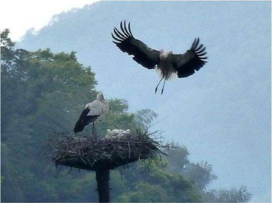 Фото Nishimuraya Honkan