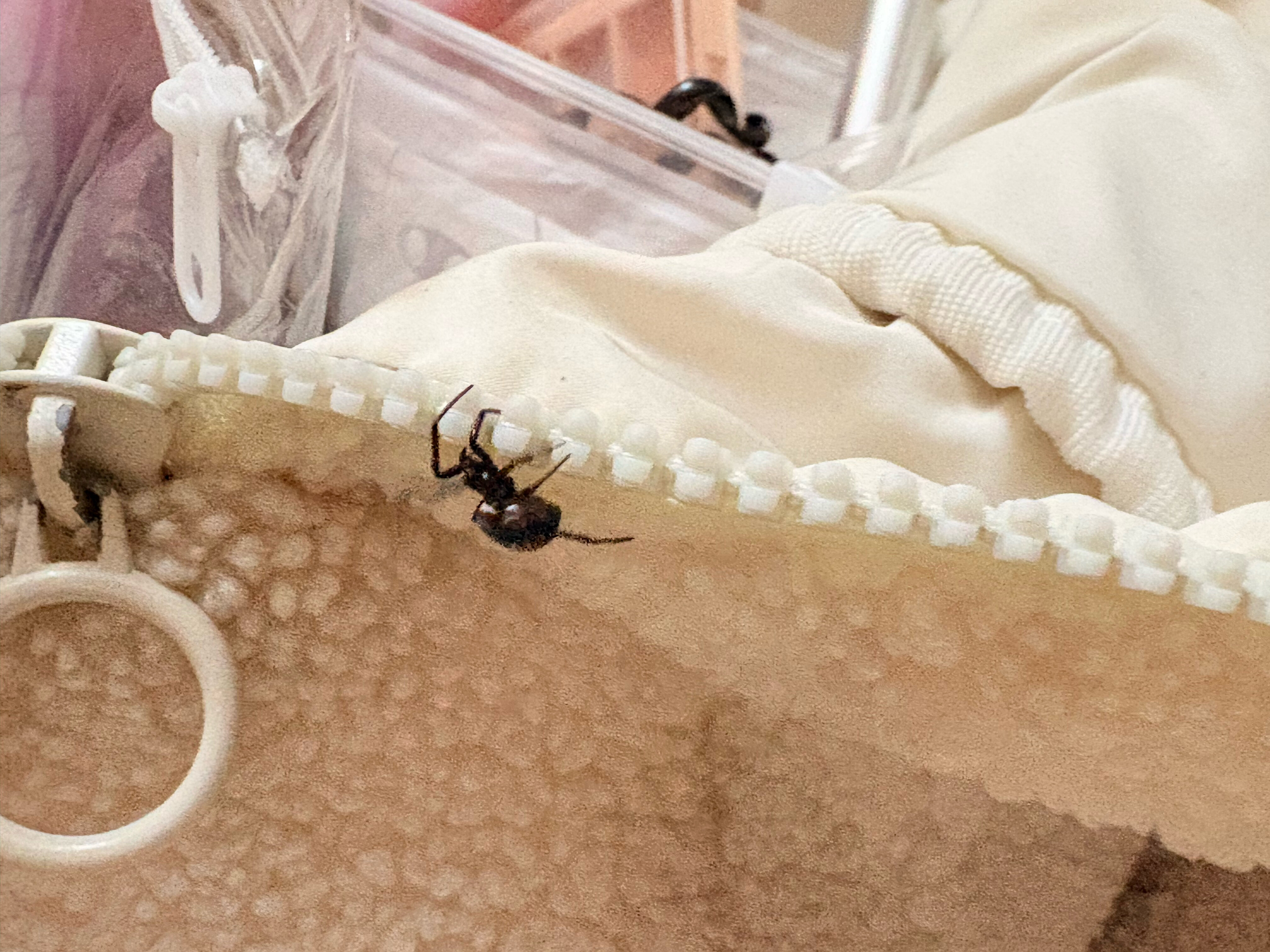 Фото Локалита