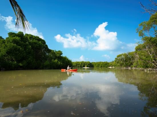 Фото Silver Oasis Maldives