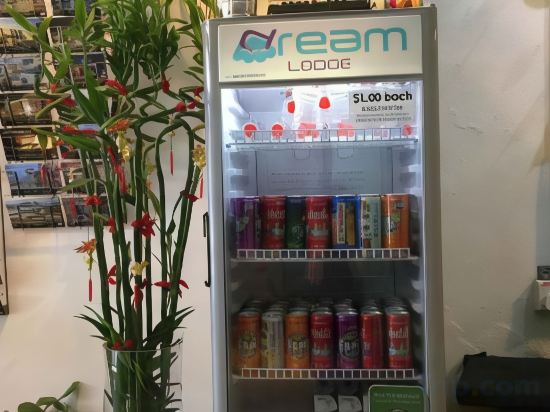 Фото Dream Lodge