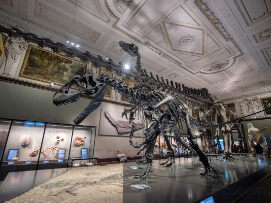 Фото Grand Hotel Wien