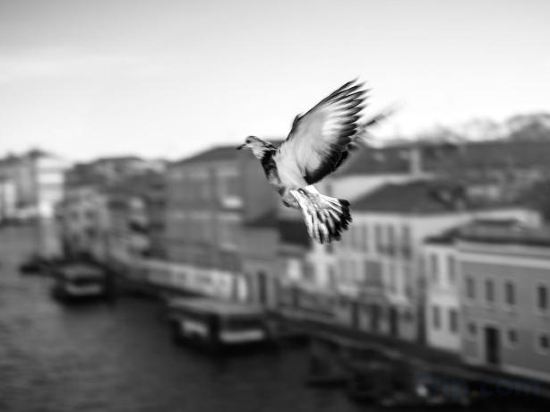 Фото Ca Bonfadini Historic Experience