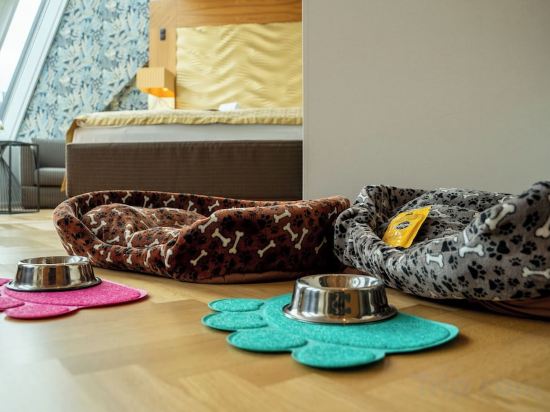 Фото Hotel Josefshof am Rathaus