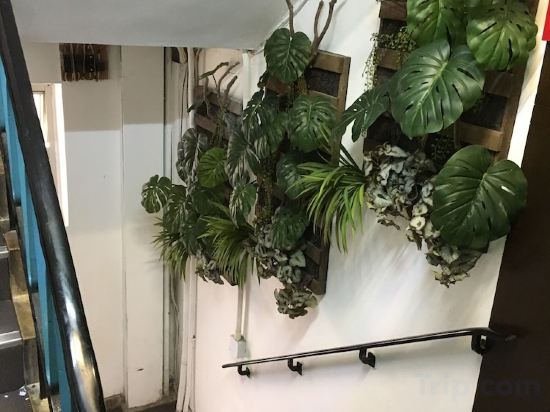 Фото Seasons Hotel - Tsim sha tsui