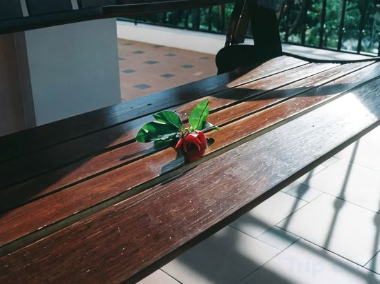 Фото Dalat Terrasse Des Roses Villa