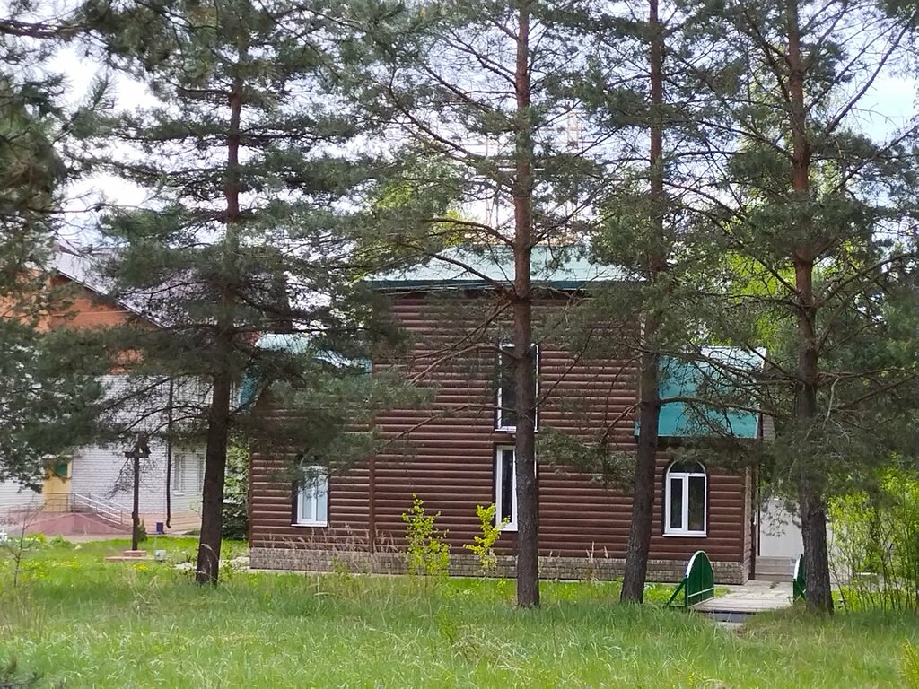 Orthodox church Церковь Пантелеимона Целителя, Bryansk Oblast, photo