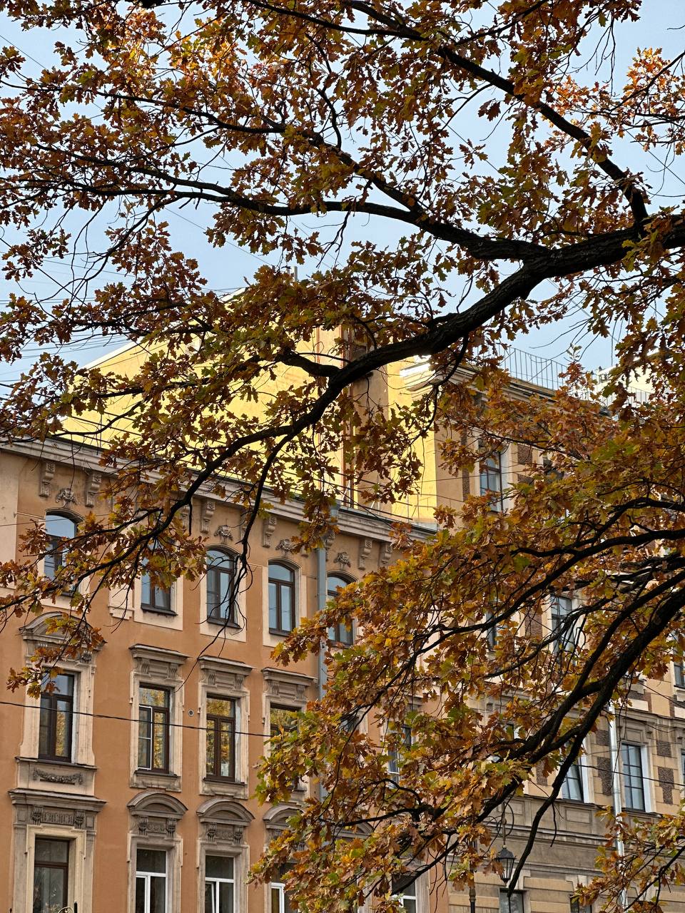 Фото Белинский