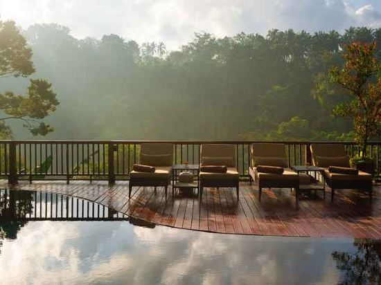 Фото Nandini Jungle by Hanging Gardens