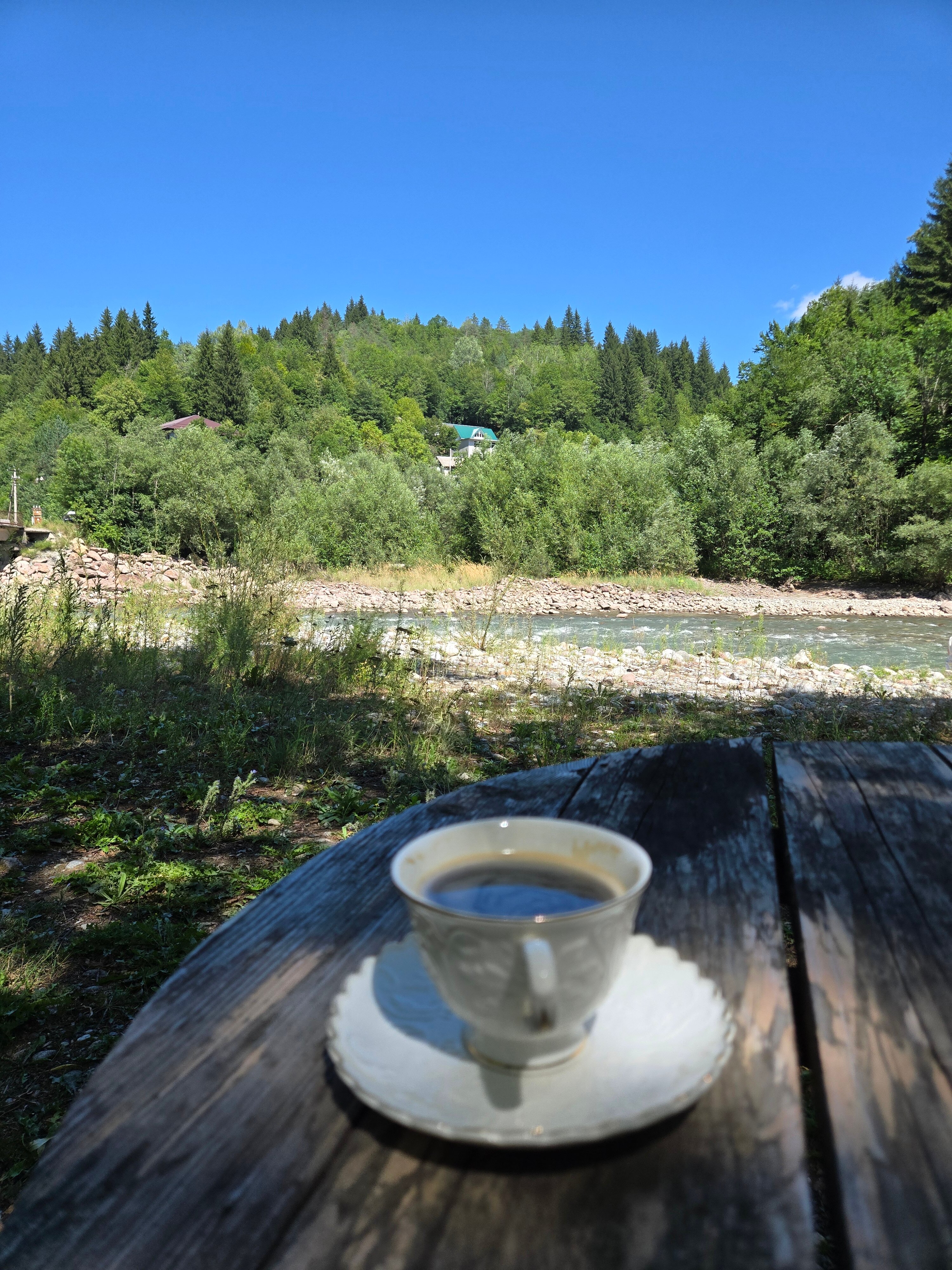 Фото Богатырь