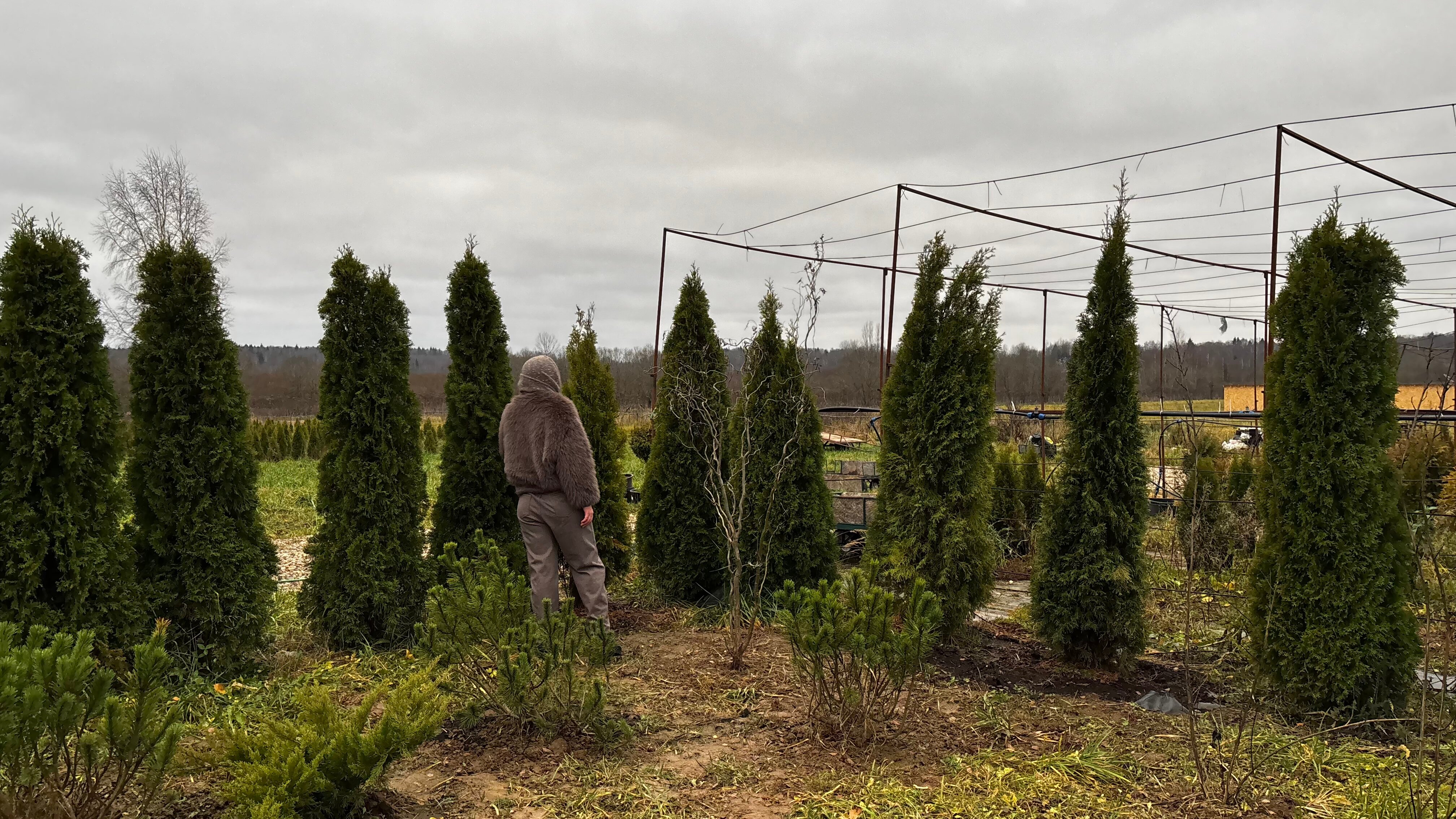 Фото Усадьба Маруся