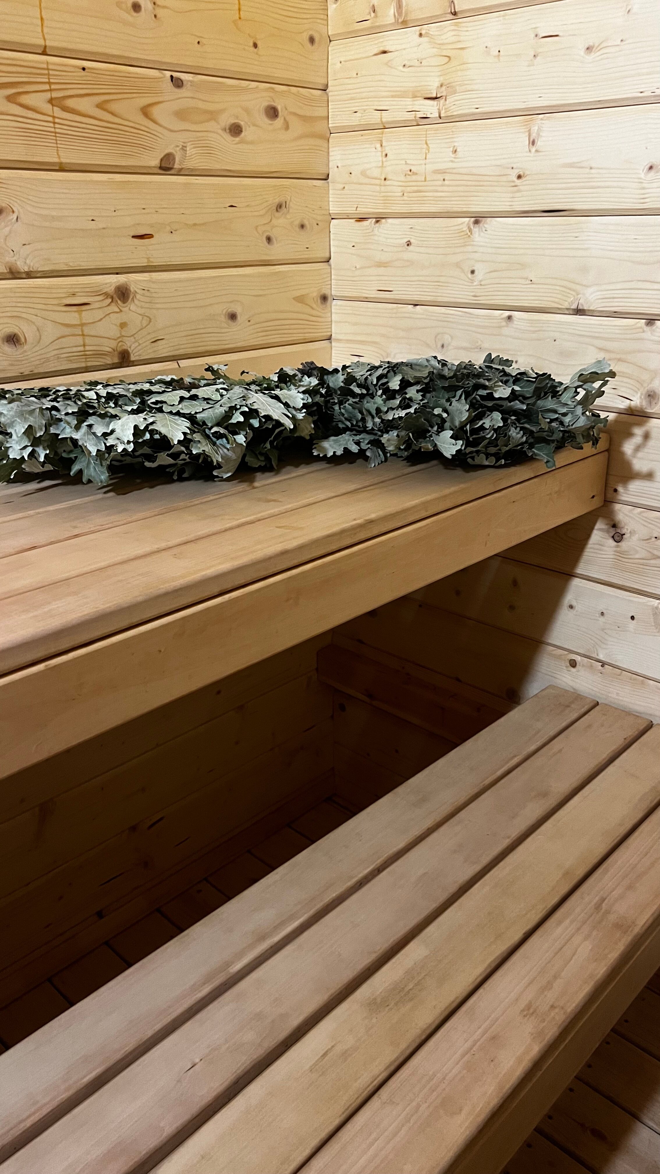 Фото Полярная звезда