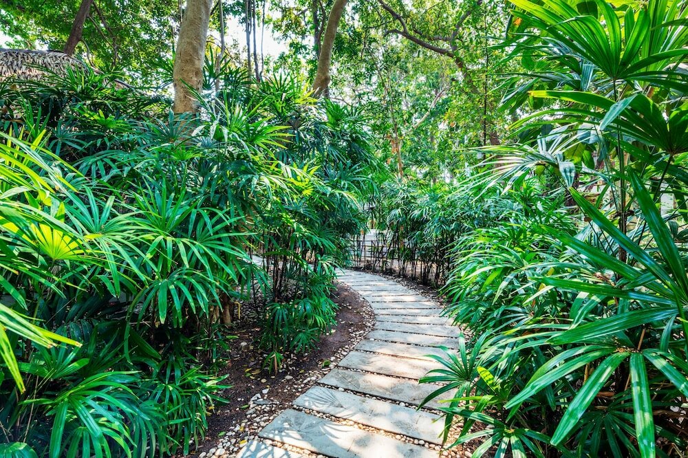 Фото The Monttra Pattaya